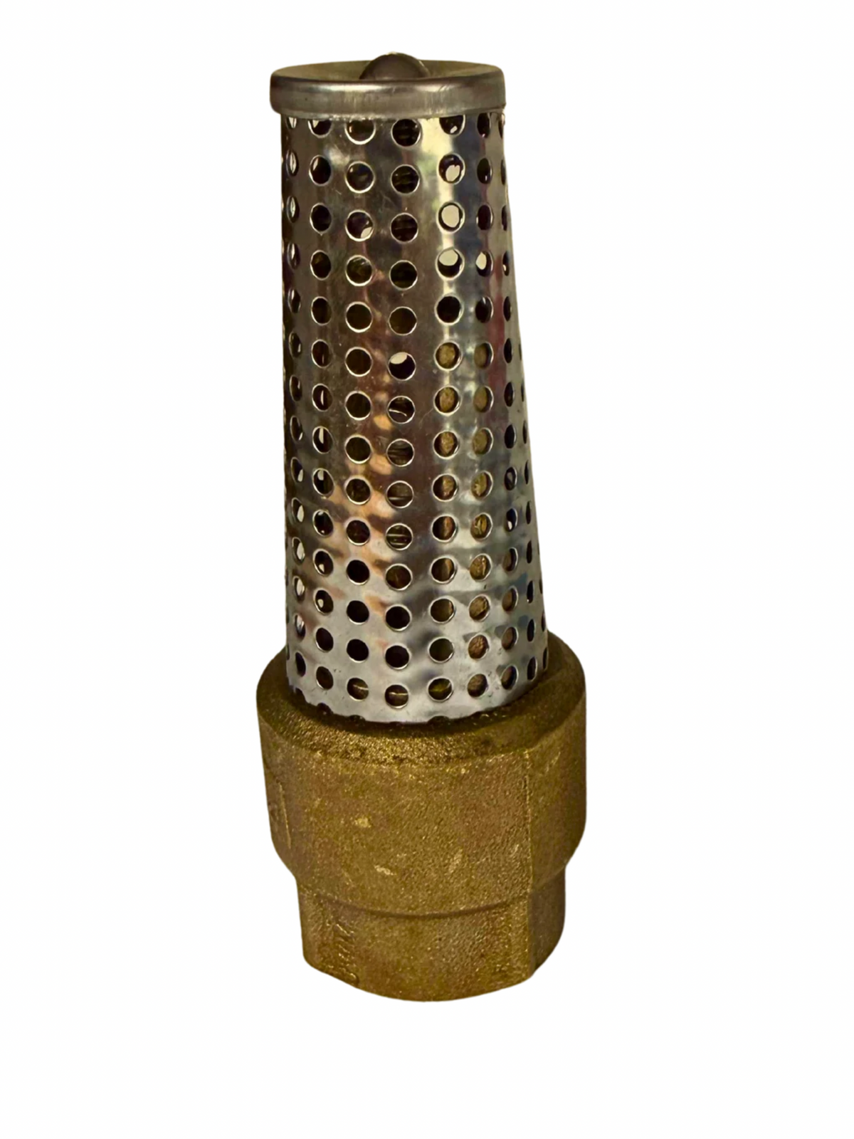 BII Bronze 1” Foot Valve